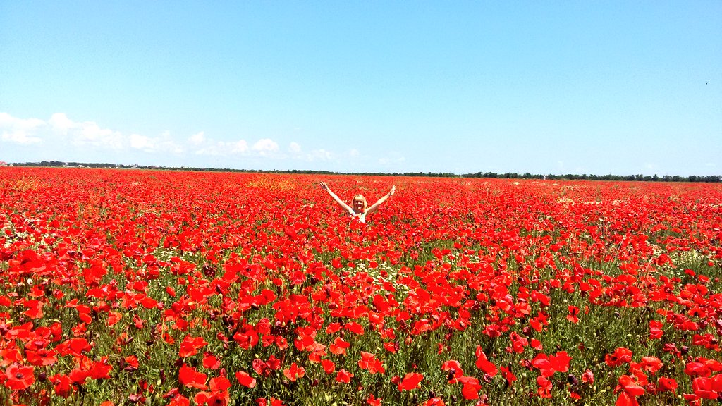 Семейный отдых в Николаевке